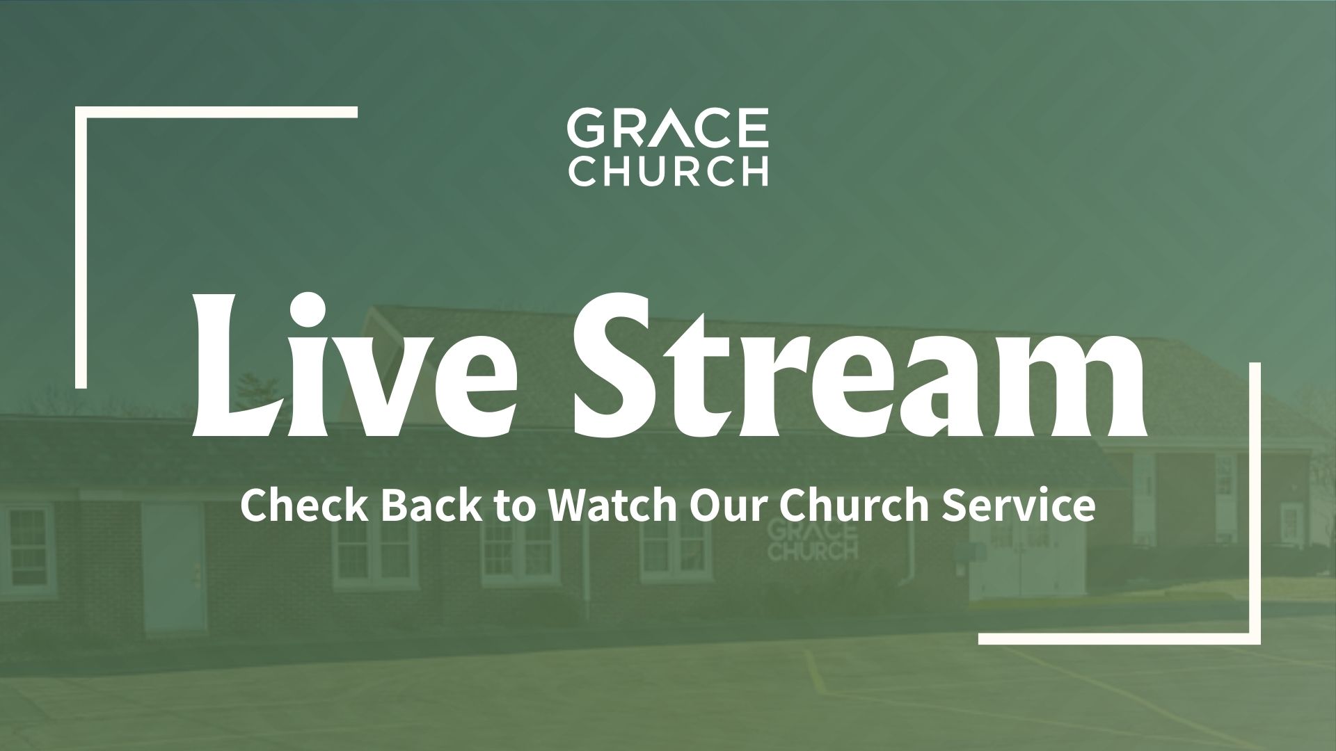 Live Stream default banner